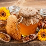 Zanimljive činjenice o medu: sadržaj kalorija, šećer, potrošnja